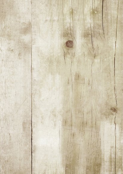 Paashaas - hip hout en foto -SG 2