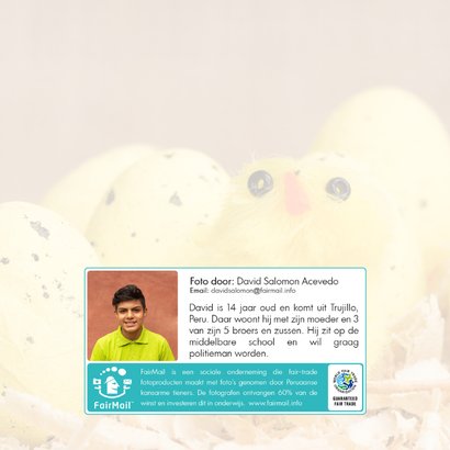 Paaskaart met nest kuikens en gele eieren 2