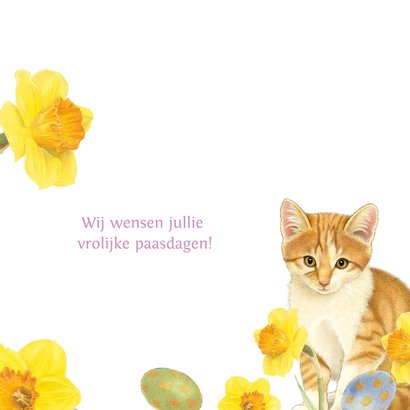 Paaskaart met vrolijke kittens tussen de narcissen 3