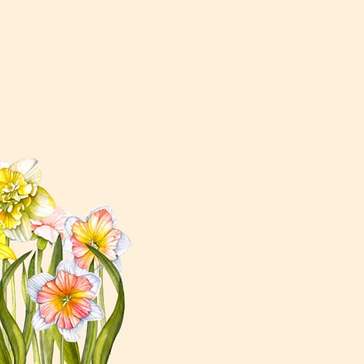 Paaskaart narcissen voorjaar 2
