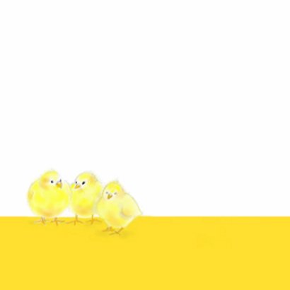 Paaskuikentjes op een rij 3