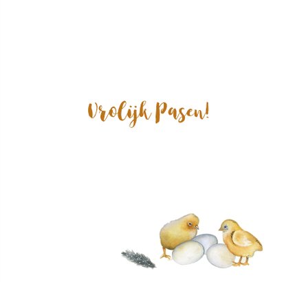 Pasen kip en kuikens 3