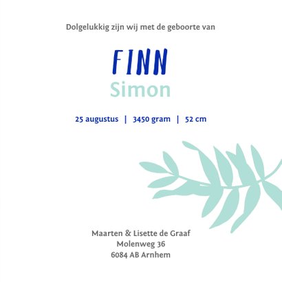 Pauw jongen 3