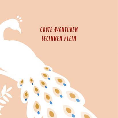 Pauw meisje 2