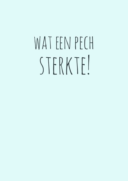 Pechvogel heeft een been gebroken 3