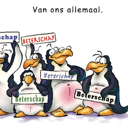 Pinguins beterschap in verband 3