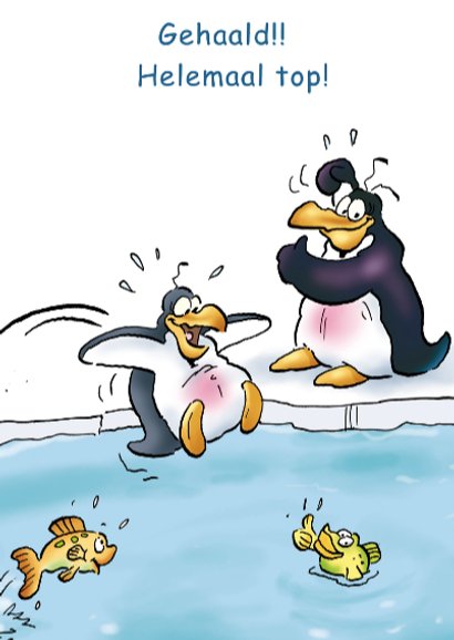penguins zwemdiploma 1zwemband 3