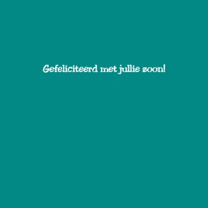 Pinguïn jongen 3
