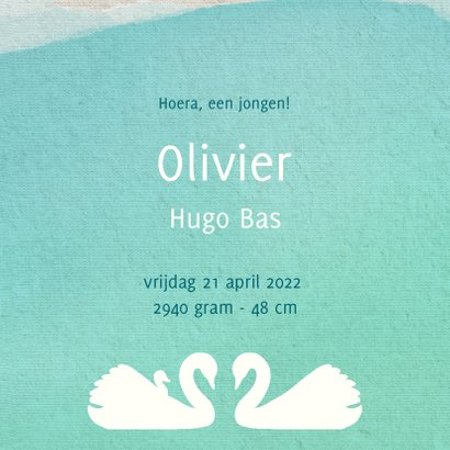 Prachtig geboortekaartje met zwanenpaar en jong 3