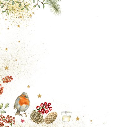 Prettige Kerstdagen vogelhuisje roodborstjes 2