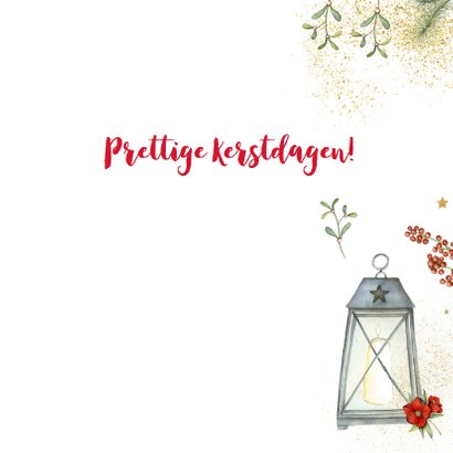 Prettige Kerstdagen vogelhuisje roodborstjes 3