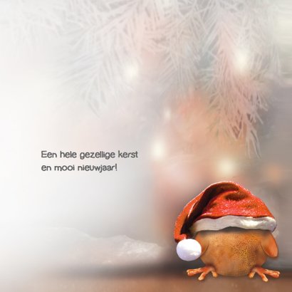 Ptie Foe met een te grote muts.. 3