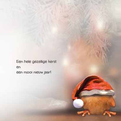 Ptie Foe met kerstlampjes 3