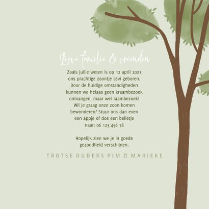 Raamvisite uitnodiging jongen illustratie doorkijkje 3