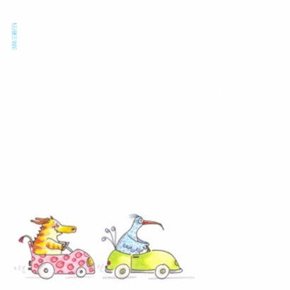 Rijbewijs supercool 2
