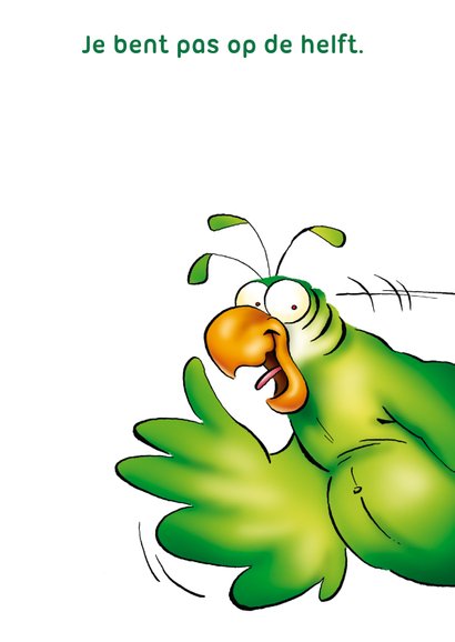 Rocco leeftijd 50 Groene en roze papegaai 3
