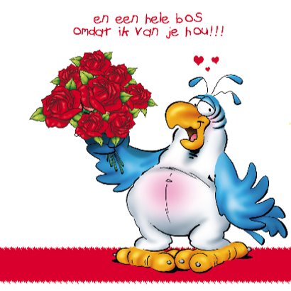 rocco valentijn 4 papegaai grote roos 3