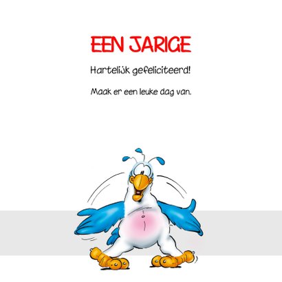 Rocco verjaardag 36 papegaai met handen voor ogen RN. 3