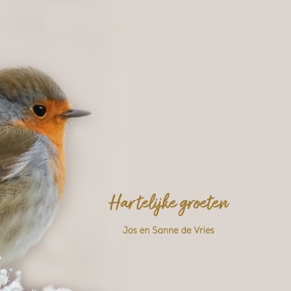Roodborst - winter 3