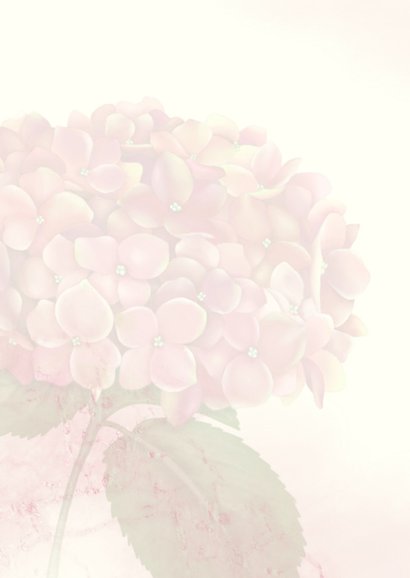 Rouw-bedankkaart hortensia roze 2