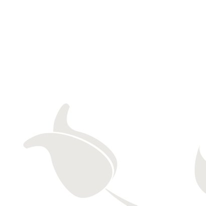 rouw tulp in memoriam 2