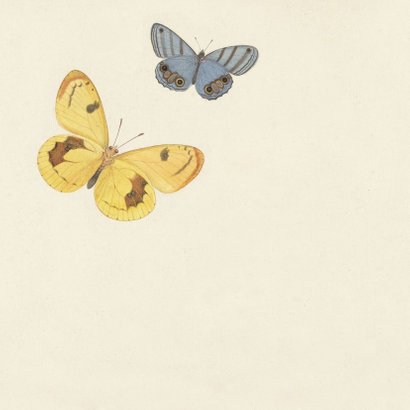 Rouwkaart bedankt met vintage vlinders 2