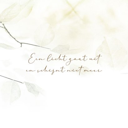 Rouwkaart bladertak wit sereen 2