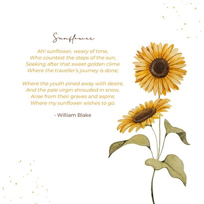 Rouwkaart bloem zonnebloem minimalistisch stijlvol waterverf 2