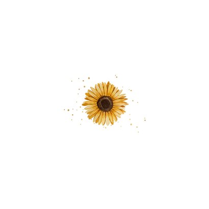 Rouwkaart bloem zonnebloem minimalistisch stijlvol waterverf Achterkant