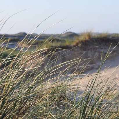 Rouwkaart Duinen en helmgras 2