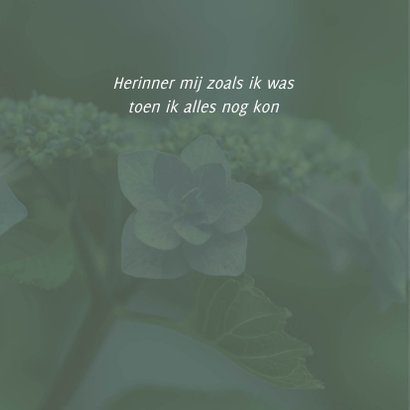 rouwkaart foto hortensia 2