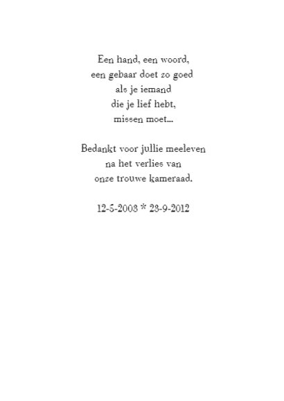 Rouwkaart huisdier - grijs met foto 3