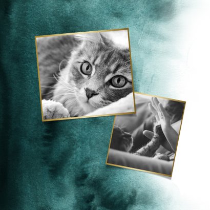 Rouwkaart huisdier kat fotokaart verf goud pootafdruk 2