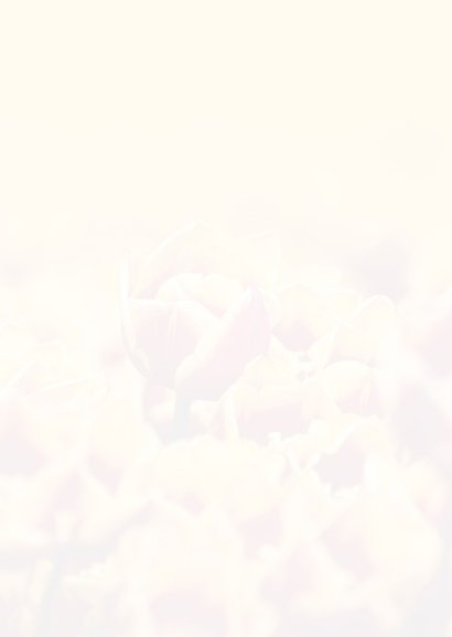 Rouwkaart man met tulpenveld  Achterkant