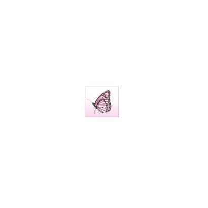 rouwkaart met mooie vlinder Achterkant