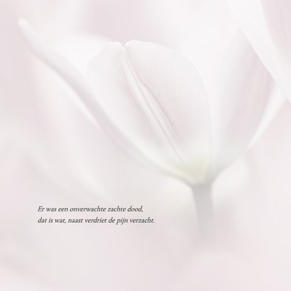 Rouwkaart met roze tulpen 2