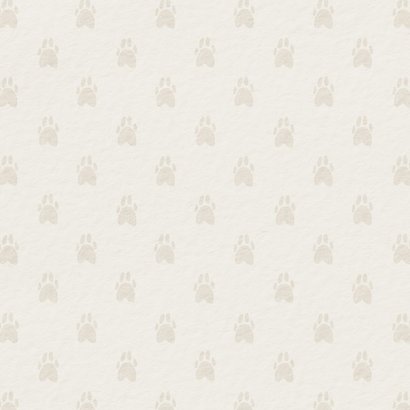 Rouwkaart overleden huisdier hond leeg mandje pootjes Achterkant