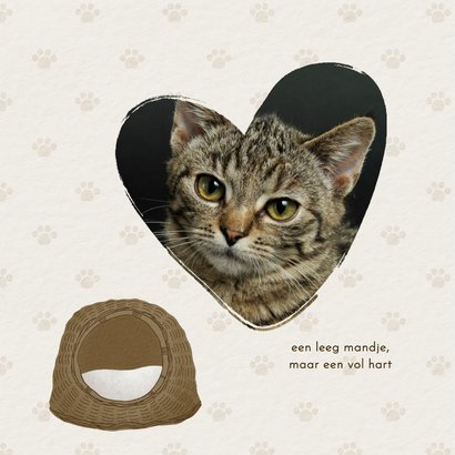 Rouwkaart overleden huisdier kat leeg mandje pootjes 2