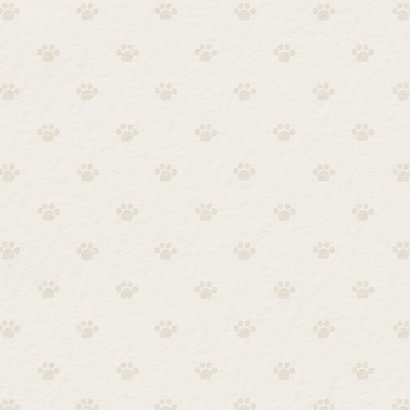 Rouwkaart overleden huisdier kat leeg mandje pootjes Achterkant