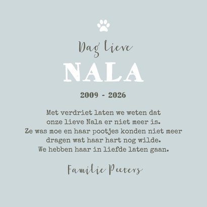 Rouwkaart poes kat foto liefdevol fotokaart 3