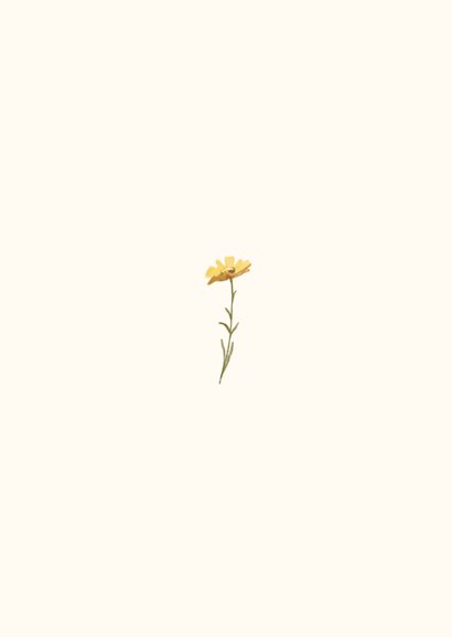 Rouwkaart sfeervolle veldbloemen Achterkant