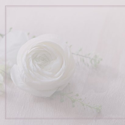 Rouwkaart witte roos klassiek 2