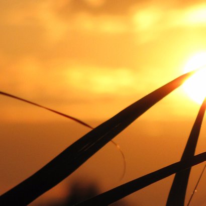 Rouwkaart Zonsondergang riet 2