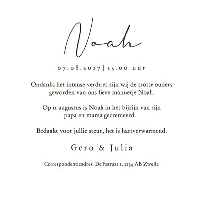 Rouwkaartje baby afscheid vlinders illustratie 3