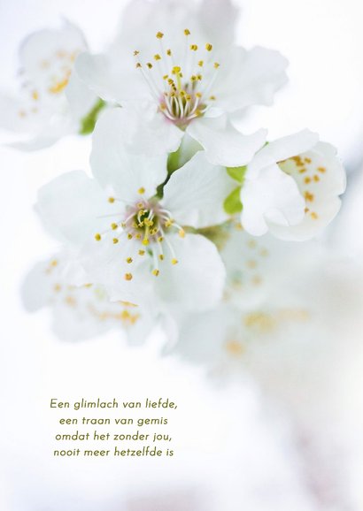 Rouwkaartje met kersenbloesem in bloei wit groen 2