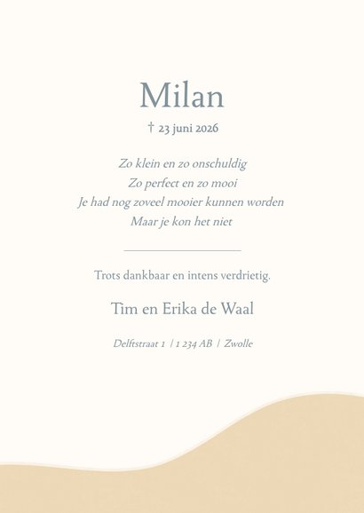 Rouwkaartje sterrenkindje met landschap en zon 3