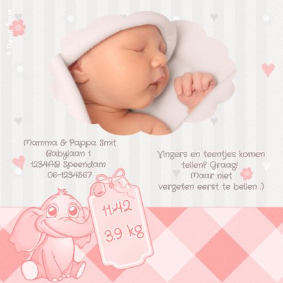 Roze Baby Olifantje Met Speen 2