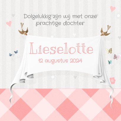 Roze Baby Olifantje Met Speen 3