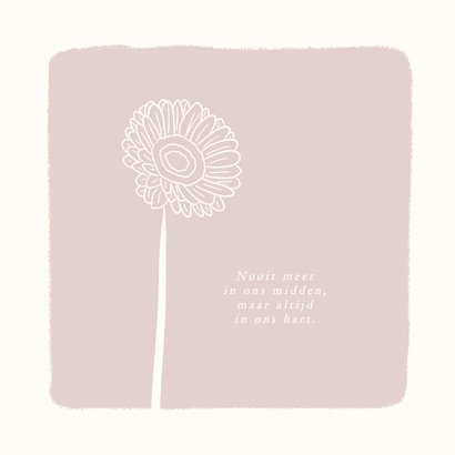 Roze condoleance kaartje met bloem gerbera 2