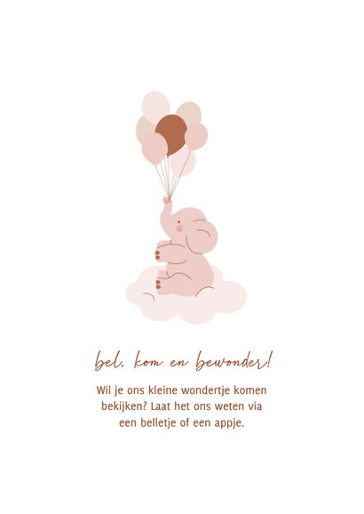 Roze geboortekaartje olifantje op de wolken met ballonnen 2